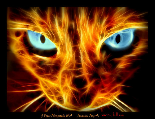 Fractalius is AWESOME!!!!!!!!