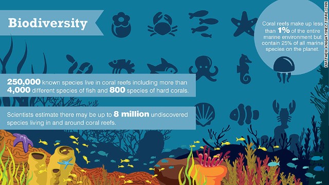 Ocean Coral Biodiversity Infographic