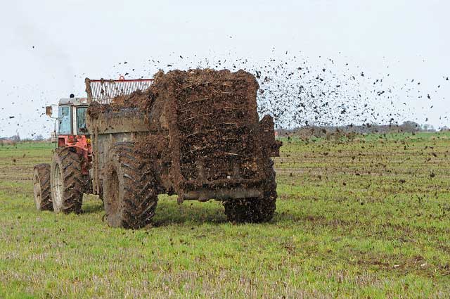 spreading farm manure representing reluctant marketer