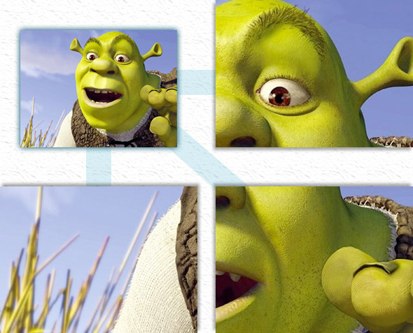 close-ups of Shrek